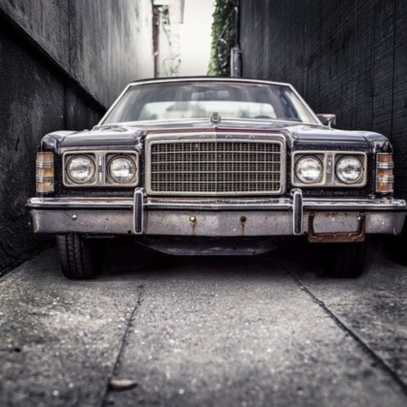 Meet your Posher, Logan - Picture 1 of 1